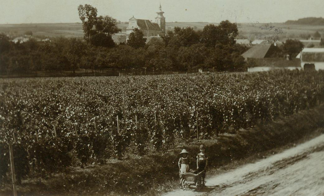 Krottenberg Krottenberg
