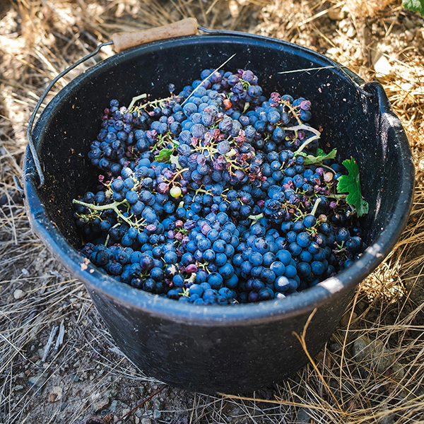 hinter-den-kulissen-2